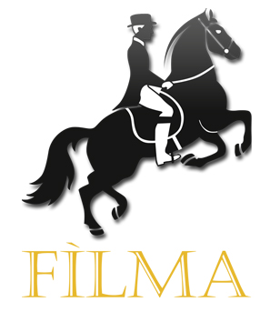 logo_filma_sponsor_un_volto_per_il_cinema